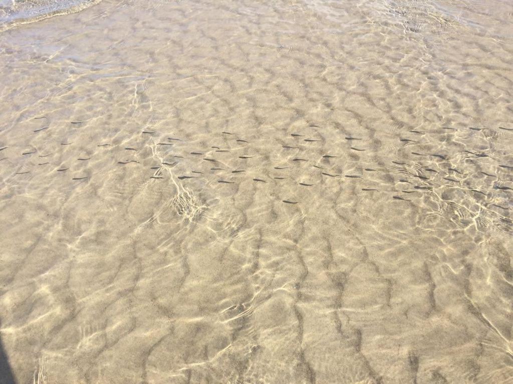 Perla Blu Marzamemi Villa Buitenkant foto